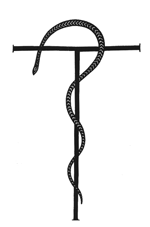 bronze serpent and tau cross